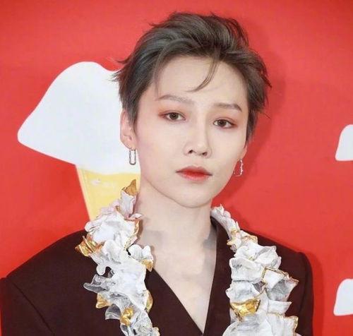 刘雨昕爆料最新动态视频,揭秘幕后故事与精彩瞬间